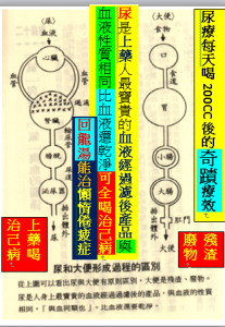 尿療回龍湯的不可思議奇蹟