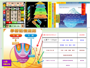 左腦Beta波表意識及右腦Alpha波潛意識和全腦間腦Theta與Delta波深層意識學習