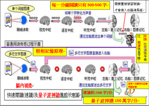 左腦眼睛視力閱讀每分鐘300字、右腦眼睛視力速讀每分鐘1500字、右腦腦內視力神讀每分鐘1500000字傳感示意圖