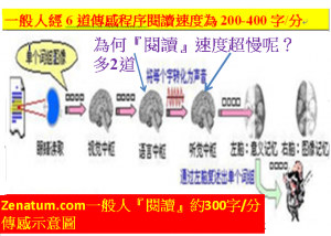 為何『閱讀』速度超慢呢？