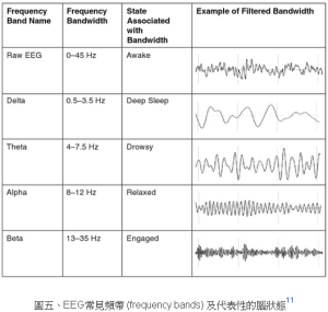 腦波4