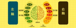 贏在右腦