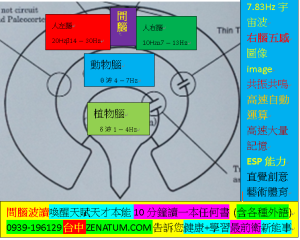 間腦波讀不能不知的秘密