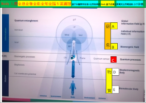 Body人體全息全像全能全知全腦5區圖譜(量子糾纏頻率信息&生物能場與Healy量子波儀及微電流生物電磁能-分子身體)