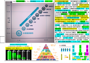 Healy細胞最理想電壓是 -70 mV頻率調理在 0.1 Hz – 1 kHz& 15 kHz – 1 MHz