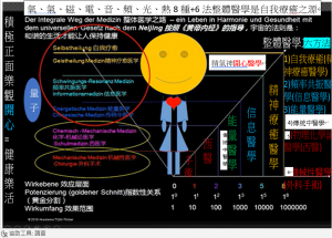 6種整體醫學--開心醫學