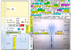 Brain12維度連接意識信息場&能量場使高速Study&Health物質世界可視化