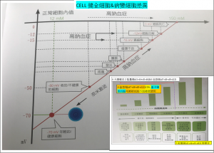 CELL健全細胞&病變細胞差異&6大療育法