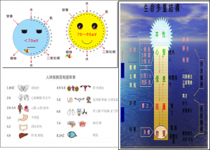 Healy細胞膜電壓&各器官頻率&生物能量信息場