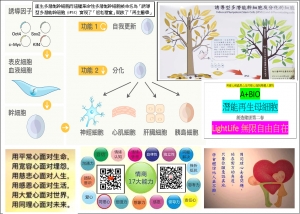 LightLife創造健康第二春的大學習大健康